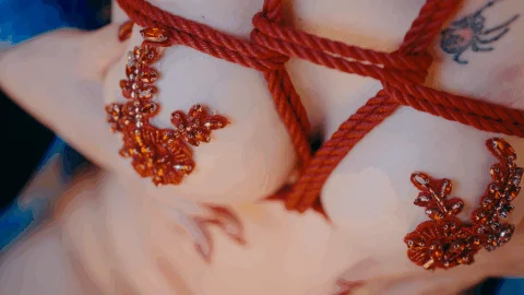 鹿八岁baby - No.113 花魁の末路 [149P,1V-477MB] tg@simisebaisi 【丝足阁】123.webp